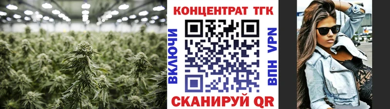 кракен Нестеровская ТГК Wax
